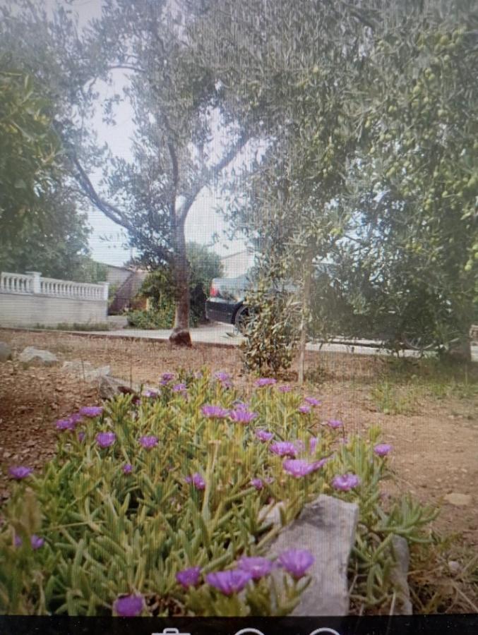 Apartmani Trubi 1 Vodice Exteriör bild